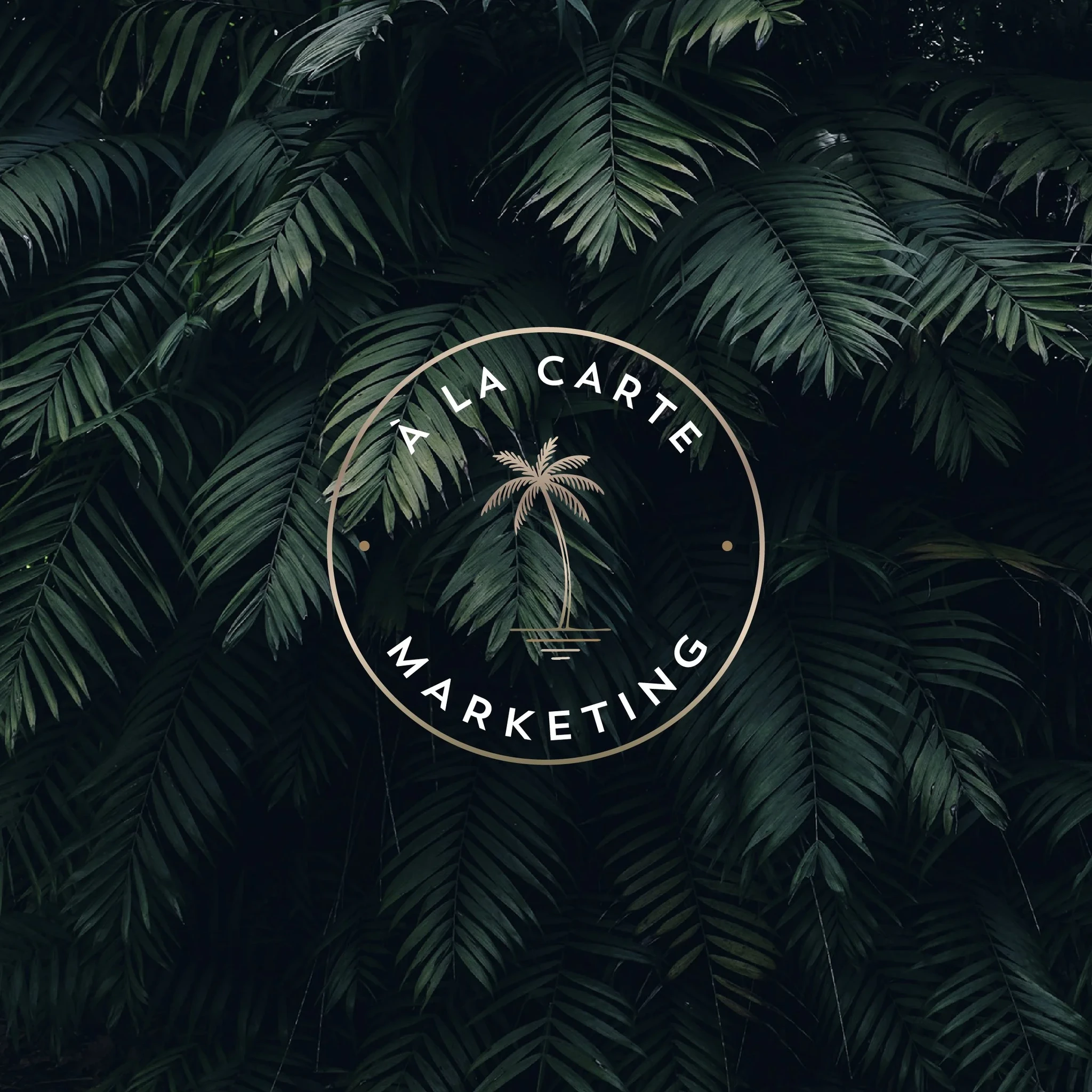 Logos + Branding