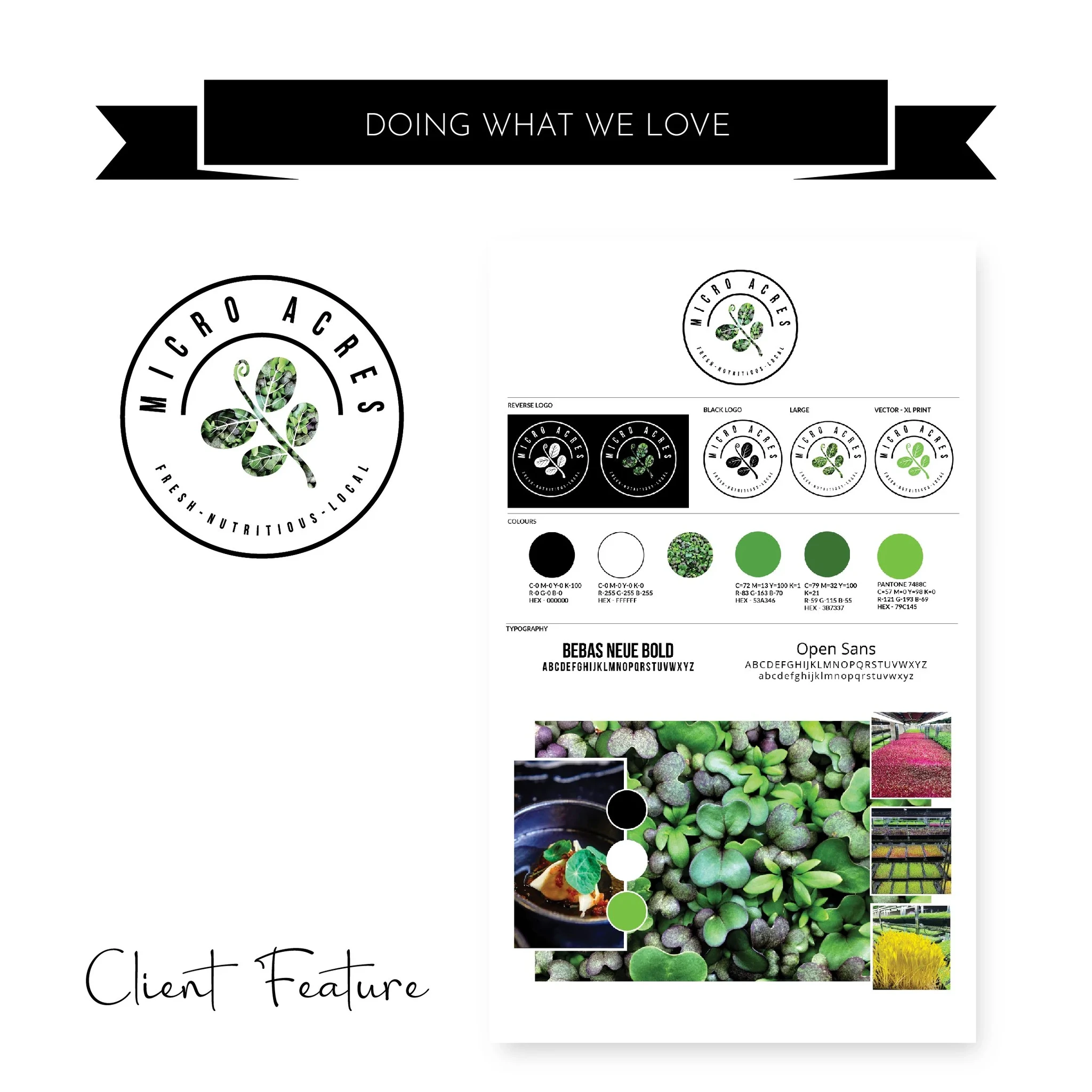 Logo Refresh - Micro Acres