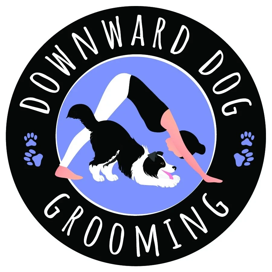DDG_LOGO_FINAL-01.jpg